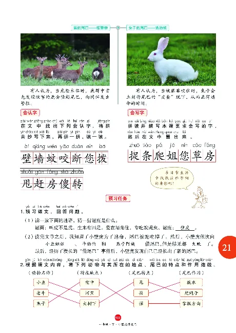 1年级语文绘本-J2-六三版_一年级语文下册（统编版）_老课标资料_一下语文含教学视频_第一套_010-绘本课堂PDF可下载打印