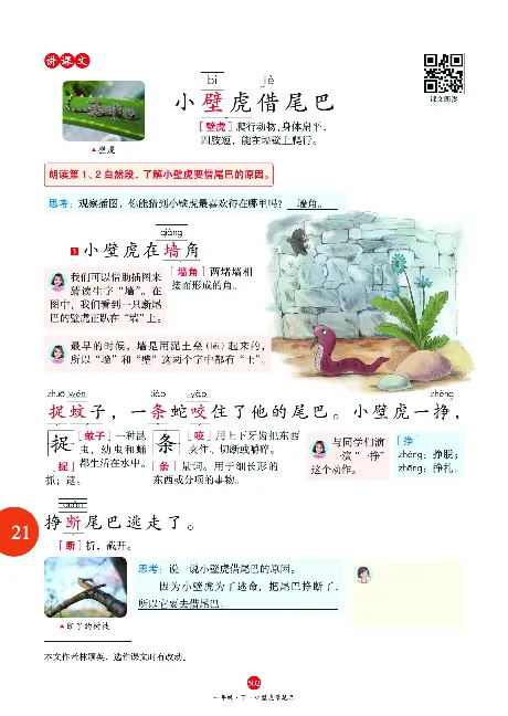 1年级语文绘本-J2-六三版_一年级语文下册（统编版）_老课标资料_一下语文含教学视频_第一套_010-绘本课堂PDF可下载打印