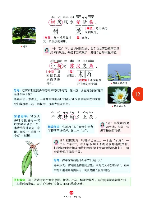 1年级语文绘本-J2-六三版_一年级语文下册（统编版）_老课标资料_一下语文含教学视频_第一套_010-绘本课堂PDF可下载打印