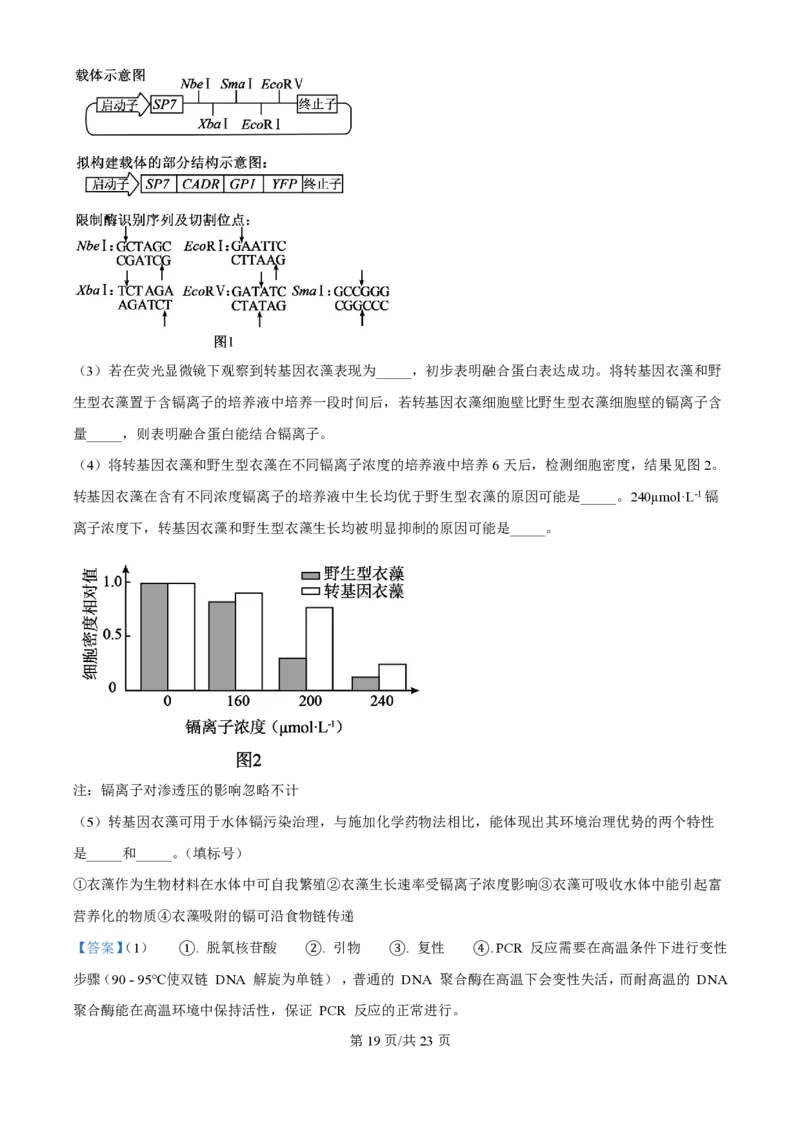 2025年高考生物试卷（河北卷）（解析卷）_生物历年高考真题_新&middot;PDF版2008-2025&middot;高考生物真题_生物（按年份分类）2008-2025_2025&middot;高考生物真题