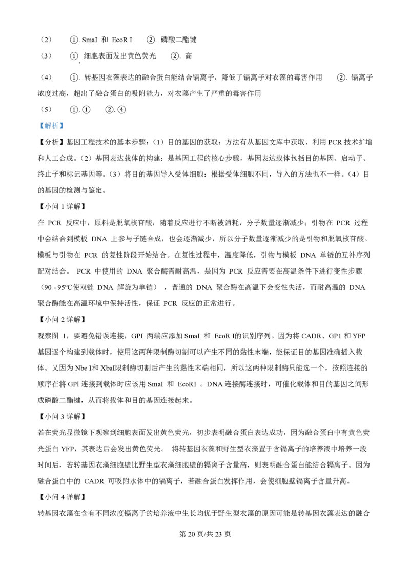 2025年高考生物试卷（河北卷）（解析卷）_生物历年高考真题_新&middot;PDF版2008-2025&middot;高考生物真题_生物（按年份分类）2008-2025_2025&middot;高考生物真题