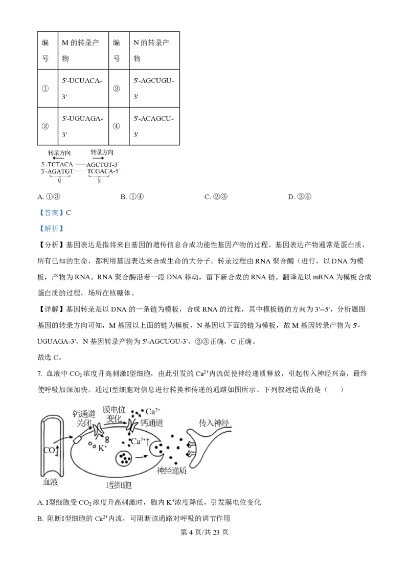 2025年高考生物试卷（河北卷）（解析卷）_生物历年高考真题_新&middot;PDF版2008-2025&middot;高考生物真题_生物（按年份分类）2008-2025_2025&middot;高考生物真题