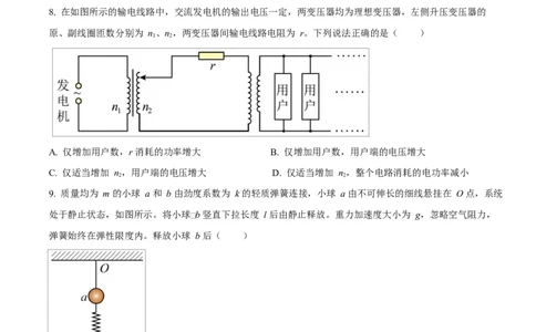 2025年高考物理试卷（湖北卷）（空白卷）_物理历年高考真题_新&middot;Word版2008-2025&middot;高考物理真题_物理（按年份分类）2008-2025_2025&middot;高考物理真题