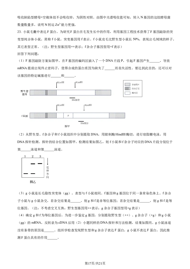 2024年高考生物试卷（浙江）（1月）（解析卷）_生物历年高考真题_新&middot;Word版2008-2025&middot;高考生物真题_生物（按年份分类）2008-2025_2024&middot;高考生物真题