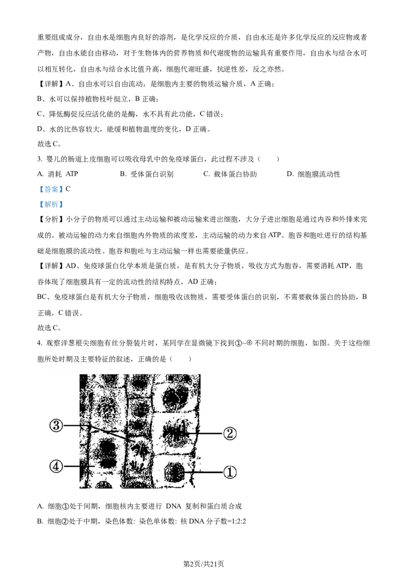2024年高考生物试卷（浙江）（1月）（解析卷）_生物历年高考真题_新&middot;Word版2008-2025&middot;高考生物真题_生物（按年份分类）2008-2025_2024&middot;高考生物真题