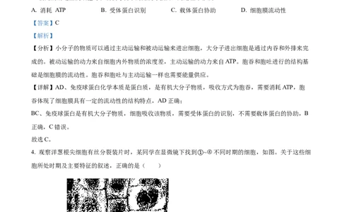 2024年高考生物试卷（浙江）（1月）（解析卷）_生物历年高考真题_新&middot;Word版2008-2025&middot;高考生物真题_生物（按年份分类）2008-2025_2024&middot;高考生物真题