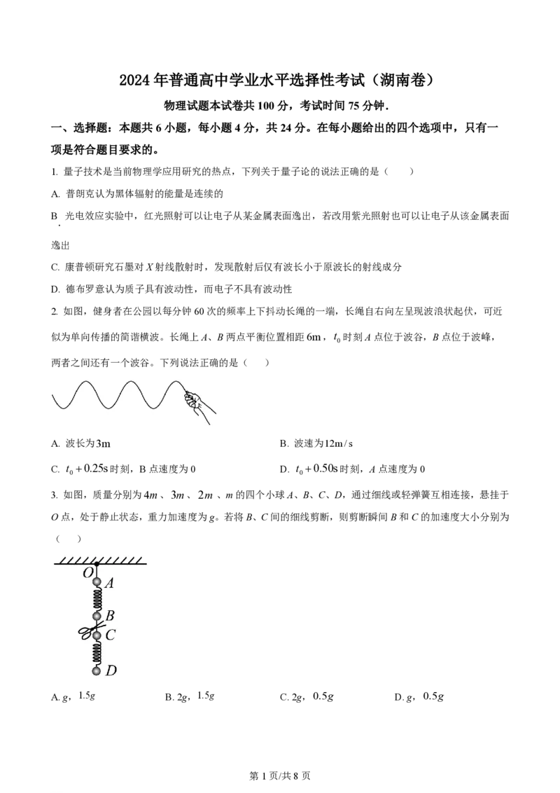 2024年高考物理试卷（湖南）（空白卷）_物理历年高考真题_新&middot;PDF版2008-2025&middot;高考物理真题_物理（按年份分类）2008-2025_2024&middot;高考物理真题