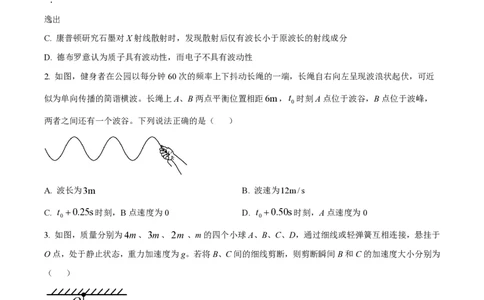 2024年高考物理试卷（湖南）（空白卷）_物理历年高考真题_新&middot;PDF版2008-2025&middot;高考物理真题_物理（按年份分类）2008-2025_2024&middot;高考物理真题