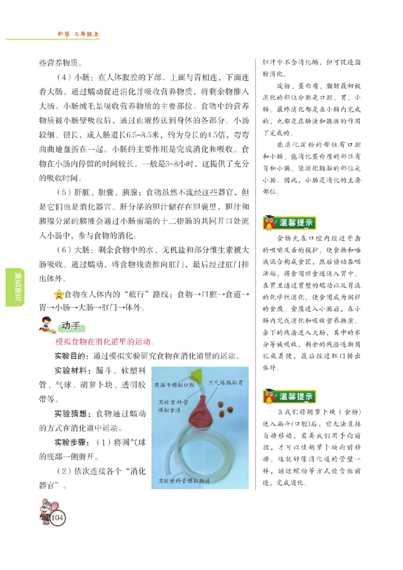 《教材解读》科学3年级上册（苏教版）_三年级上下册资料_小学三年级学习资料-25年更新版_3-09、小学三年级科学上册_苏教版_电子册类