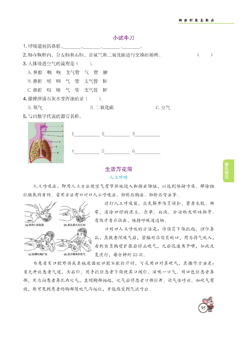 《教材解读》科学3年级上册（苏教版）_三年级上下册资料_小学三年级学习资料-25年更新版_3-09、小学三年级科学上册_苏教版_电子册类
