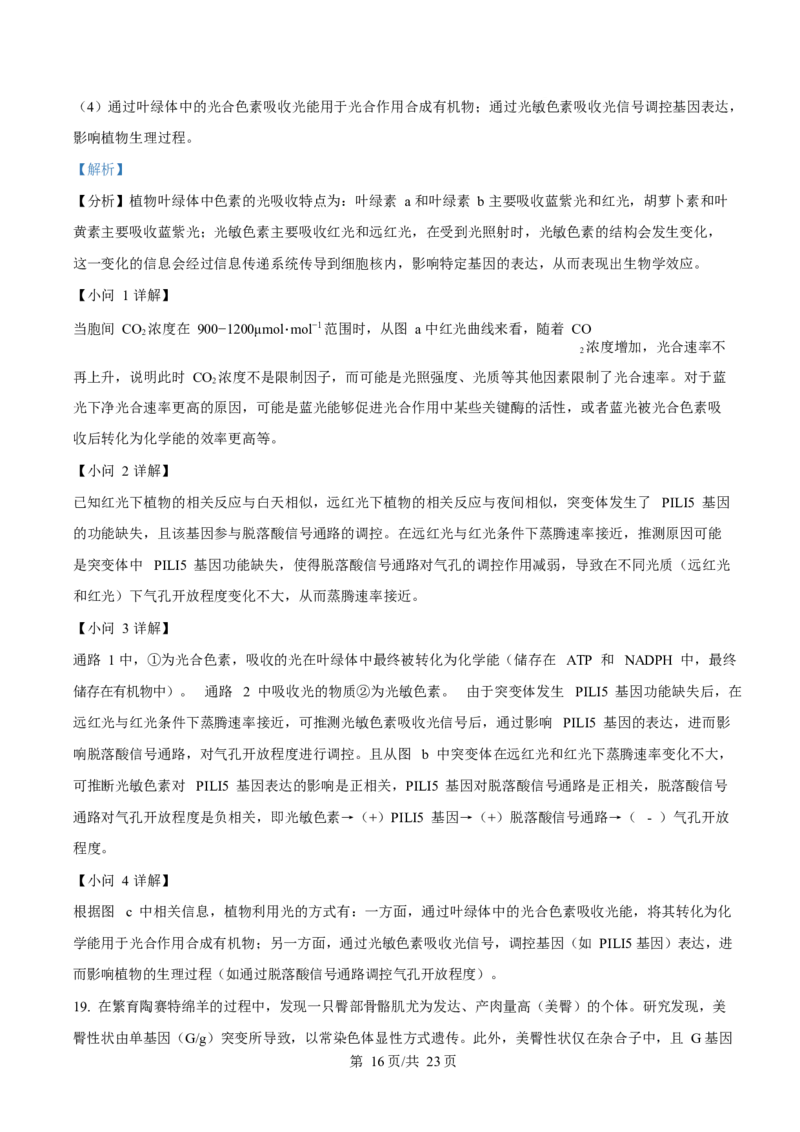 2025年高考生物试卷（广东卷）（解析卷）_生物历年高考真题_新&middot;Word版2008-2025&middot;高考生物真题_生物（按年份分类）2008-2025_2025&middot;高考生物真题