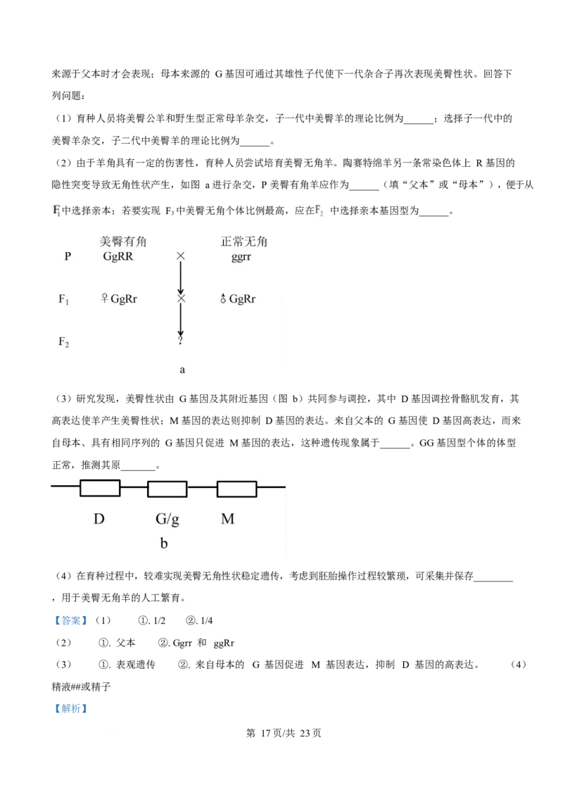 2025年高考生物试卷（广东卷）（解析卷）_生物历年高考真题_新&middot;Word版2008-2025&middot;高考生物真题_生物（按年份分类）2008-2025_2025&middot;高考生物真题