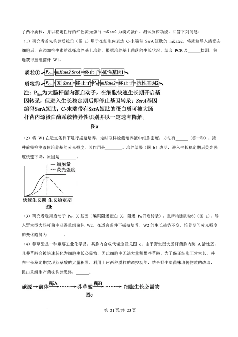 2025年高考生物试卷（广东卷）（解析卷）_生物历年高考真题_新&middot;Word版2008-2025&middot;高考生物真题_生物（按年份分类）2008-2025_2025&middot;高考生物真题