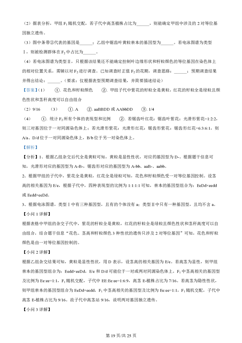 2024年高考生物试卷（山东）（解析卷）_生物历年高考真题_新&middot;PDF版2008-2025&middot;高考生物真题_生物（按年份分类）2008-2025_2024&middot;高考生物真题