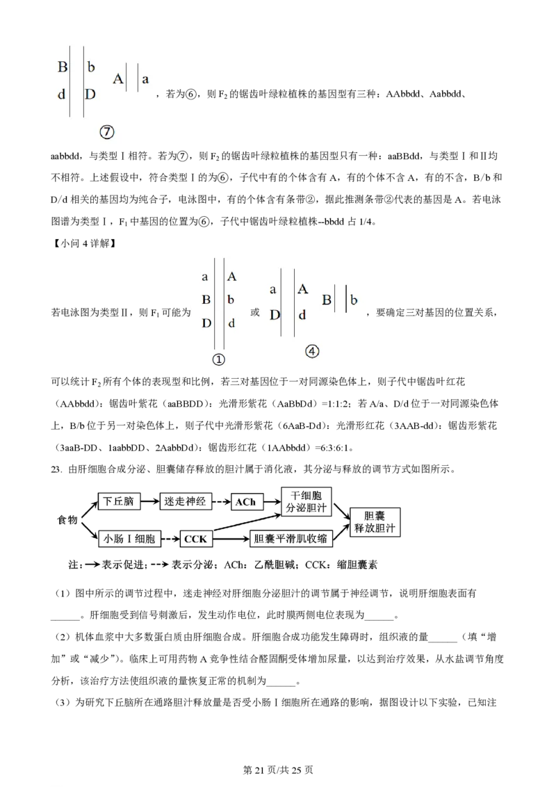2024年高考生物试卷（山东）（解析卷）_生物历年高考真题_新&middot;PDF版2008-2025&middot;高考生物真题_生物（按年份分类）2008-2025_2024&middot;高考生物真题
