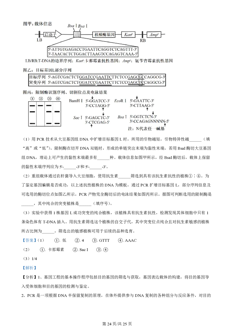 2024年高考生物试卷（山东）（解析卷）_生物历年高考真题_新&middot;PDF版2008-2025&middot;高考生物真题_生物（按年份分类）2008-2025_2024&middot;高考生物真题