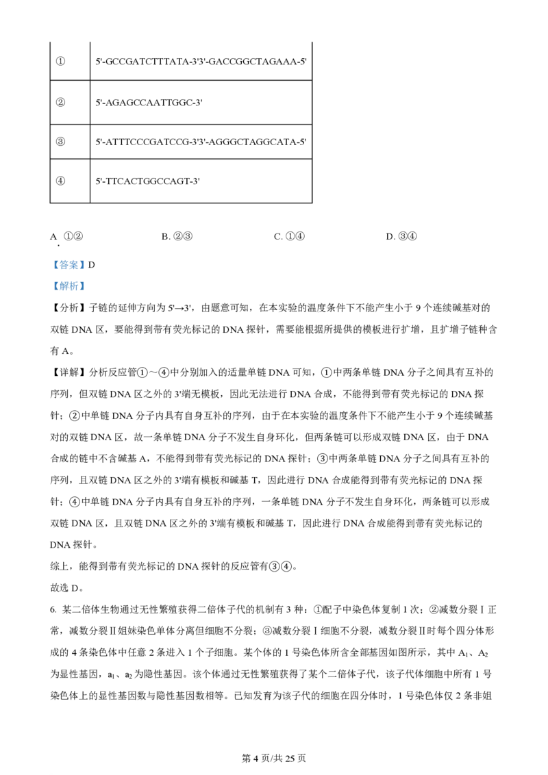 2024年高考生物试卷（山东）（解析卷）_生物历年高考真题_新&middot;PDF版2008-2025&middot;高考生物真题_生物（按年份分类）2008-2025_2024&middot;高考生物真题