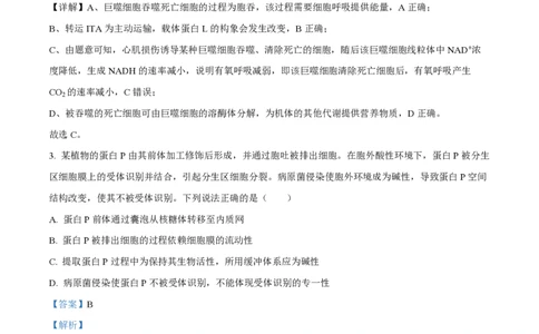 2024年高考生物试卷（山东）（解析卷）_生物历年高考真题_新&middot;PDF版2008-2025&middot;高考生物真题_生物（按年份分类）2008-2025_2024&middot;高考生物真题