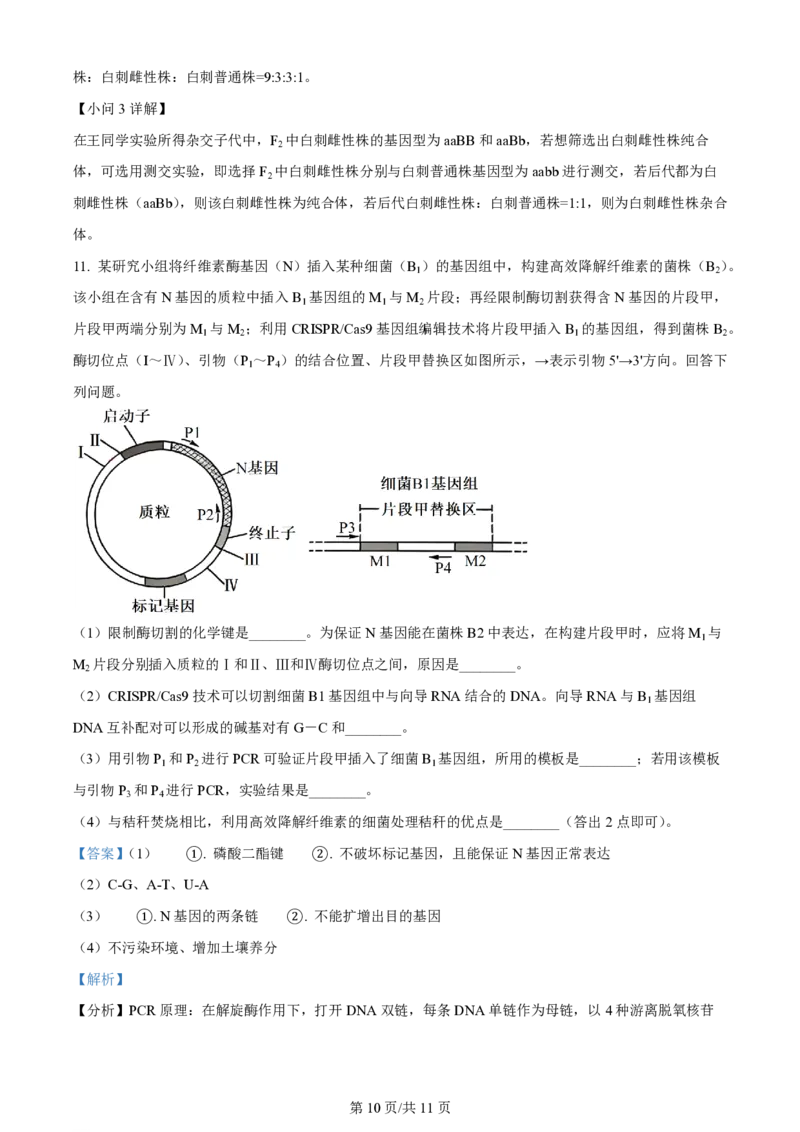 2024年高考生物试卷（新课标）（解析卷）_生物历年高考真题_新&middot;PDF版2008-2025&middot;高考生物真题_生物（按年份分类）2008-2025_2024&middot;高考生物真题
