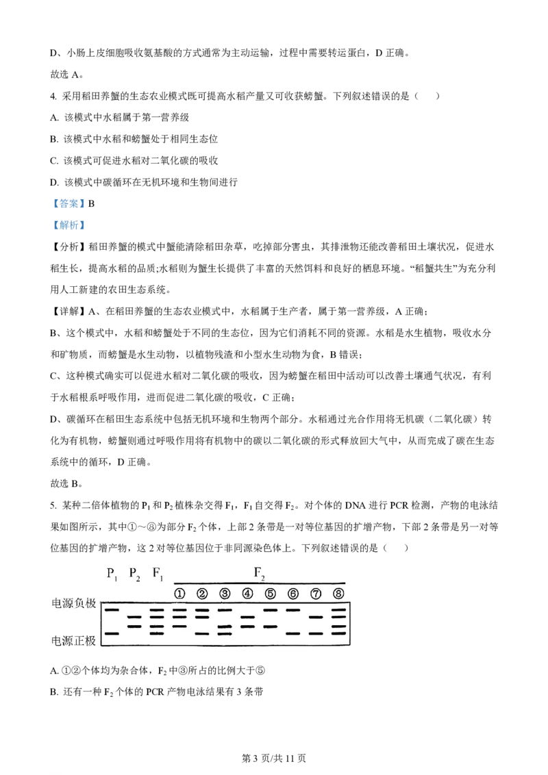 2024年高考生物试卷（新课标）（解析卷）_生物历年高考真题_新&middot;PDF版2008-2025&middot;高考生物真题_生物（按年份分类）2008-2025_2024&middot;高考生物真题