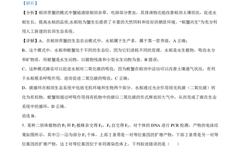 2024年高考生物试卷（新课标）（解析卷）_生物历年高考真题_新&middot;PDF版2008-2025&middot;高考生物真题_生物（按年份分类）2008-2025_2024&middot;高考生物真题