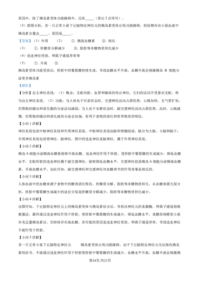2024年高考生物真题（海南）（解析卷）_生物历年高考真题_新&middot;Word版2008-2025&middot;高考生物真题_生物（按年份分类）2008-2025_2024&middot;高考生物真题