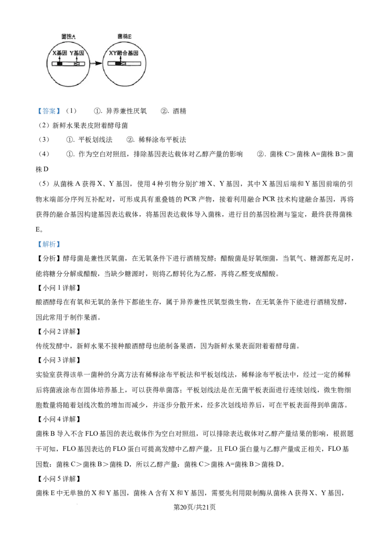 2024年高考生物真题（海南）（解析卷）_生物历年高考真题_新&middot;Word版2008-2025&middot;高考生物真题_生物（按年份分类）2008-2025_2024&middot;高考生物真题