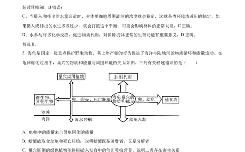 2024年高考生物真题（海南）（解析卷）_生物历年高考真题_新&middot;Word版2008-2025&middot;高考生物真题_生物（按年份分类）2008-2025_2024&middot;高考生物真题