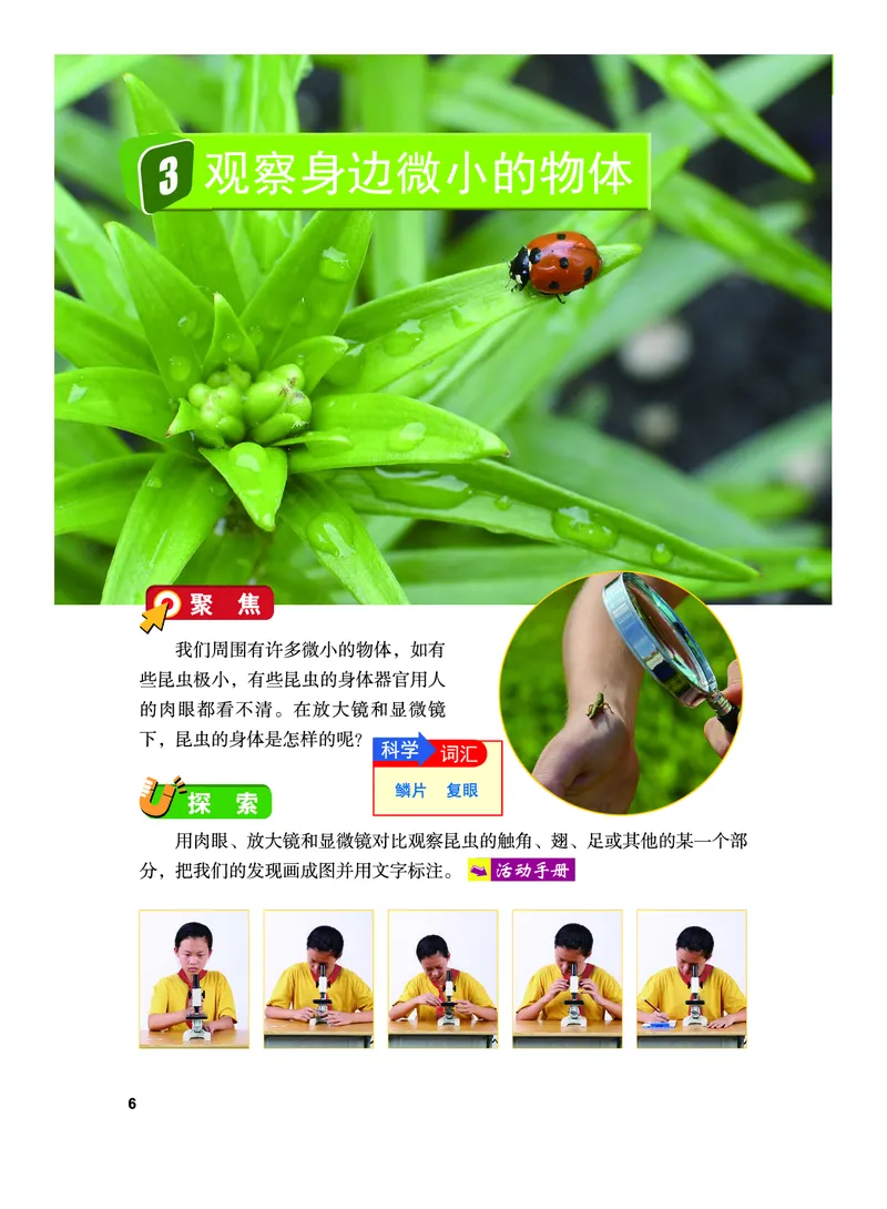 教科版6年级科学上册高清教材_全部版本&bull;小学科学电子课本_教科版小学科学电子课本