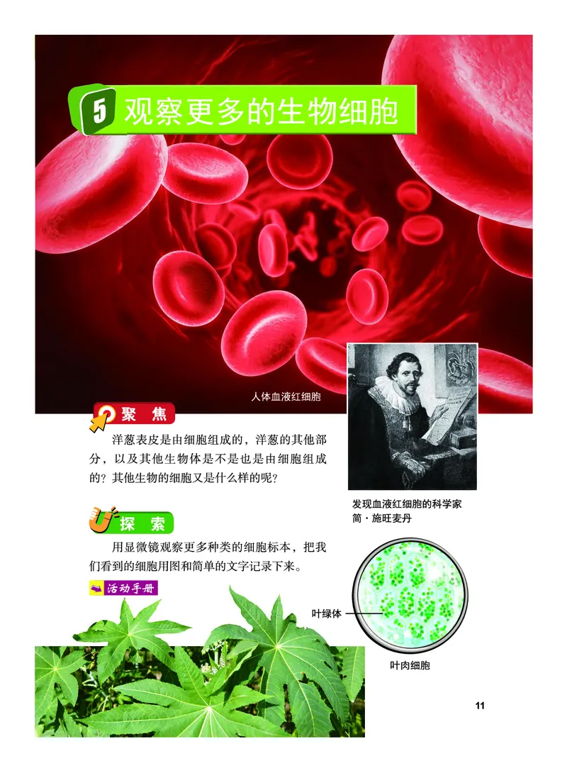 教科版6年级科学上册高清教材_全部版本&bull;小学科学电子课本_教科版小学科学电子课本