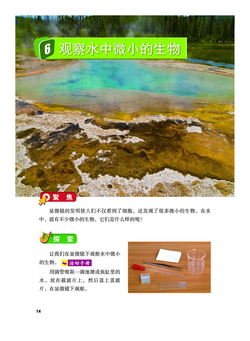 教科版6年级科学上册高清教材_全部版本&bull;小学科学电子课本_教科版小学科学电子课本