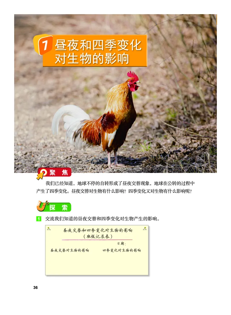 教科版6年级科学上册高清教材_全部版本&bull;小学科学电子课本_教科版小学科学电子课本