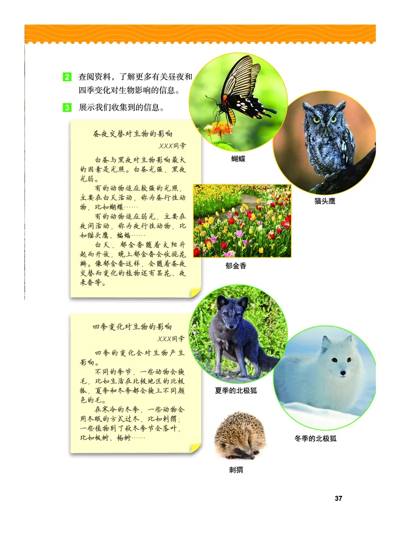 教科版6年级科学上册高清教材_全部版本&bull;小学科学电子课本_教科版小学科学电子课本