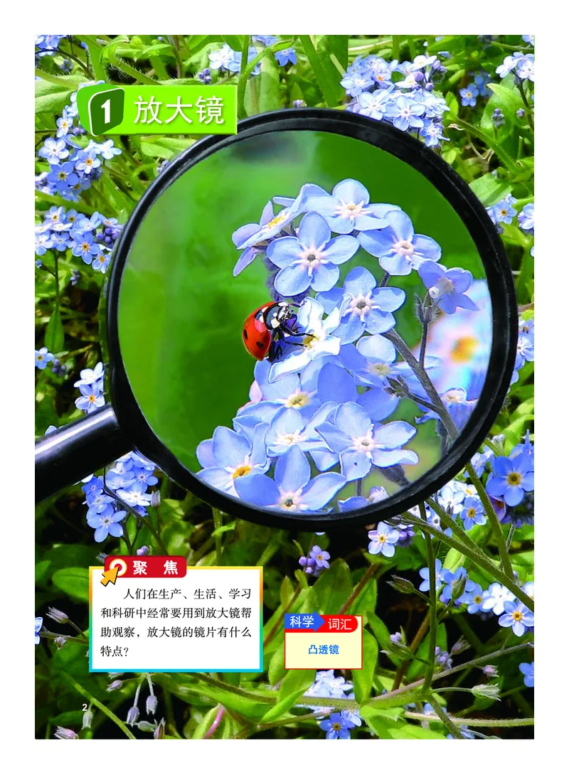 教科版6年级科学上册高清教材_全部版本&bull;小学科学电子课本_教科版小学科学电子课本