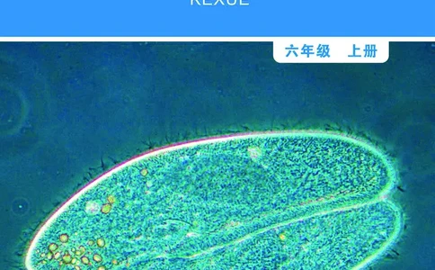 教科版6年级科学上册高清教材_全部版本&bull;小学科学电子课本_教科版小学科学电子课本
