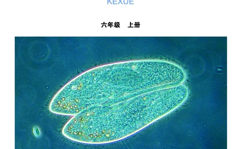 教科版6年级科学上册高清教材_全部版本&bull;小学科学电子课本_教科版小学科学电子课本