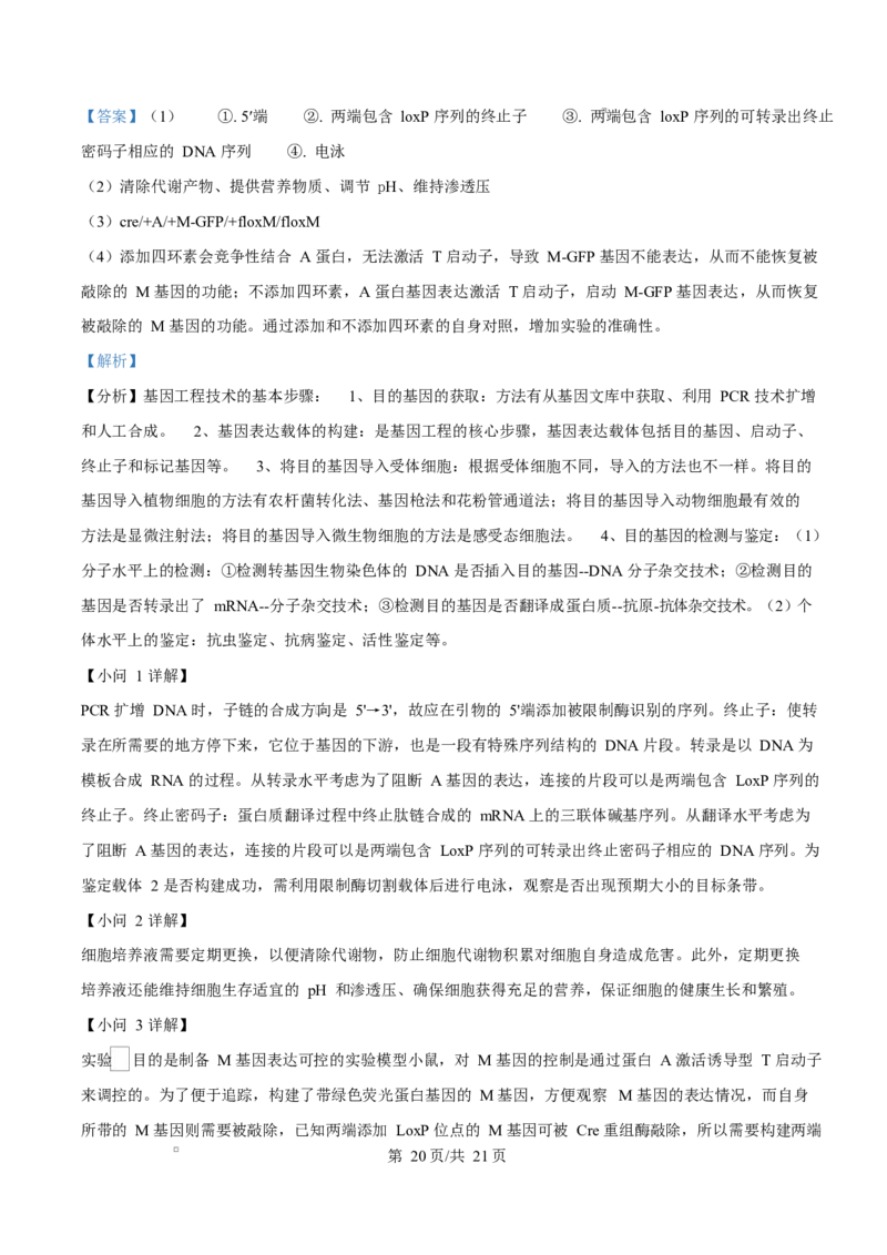2024年高考生物试卷（广西）（解析卷）_生物历年高考真题_新&middot;Word版2008-2025&middot;高考生物真题_生物（按年份分类）2008-2025_2024&middot;高考生物真题