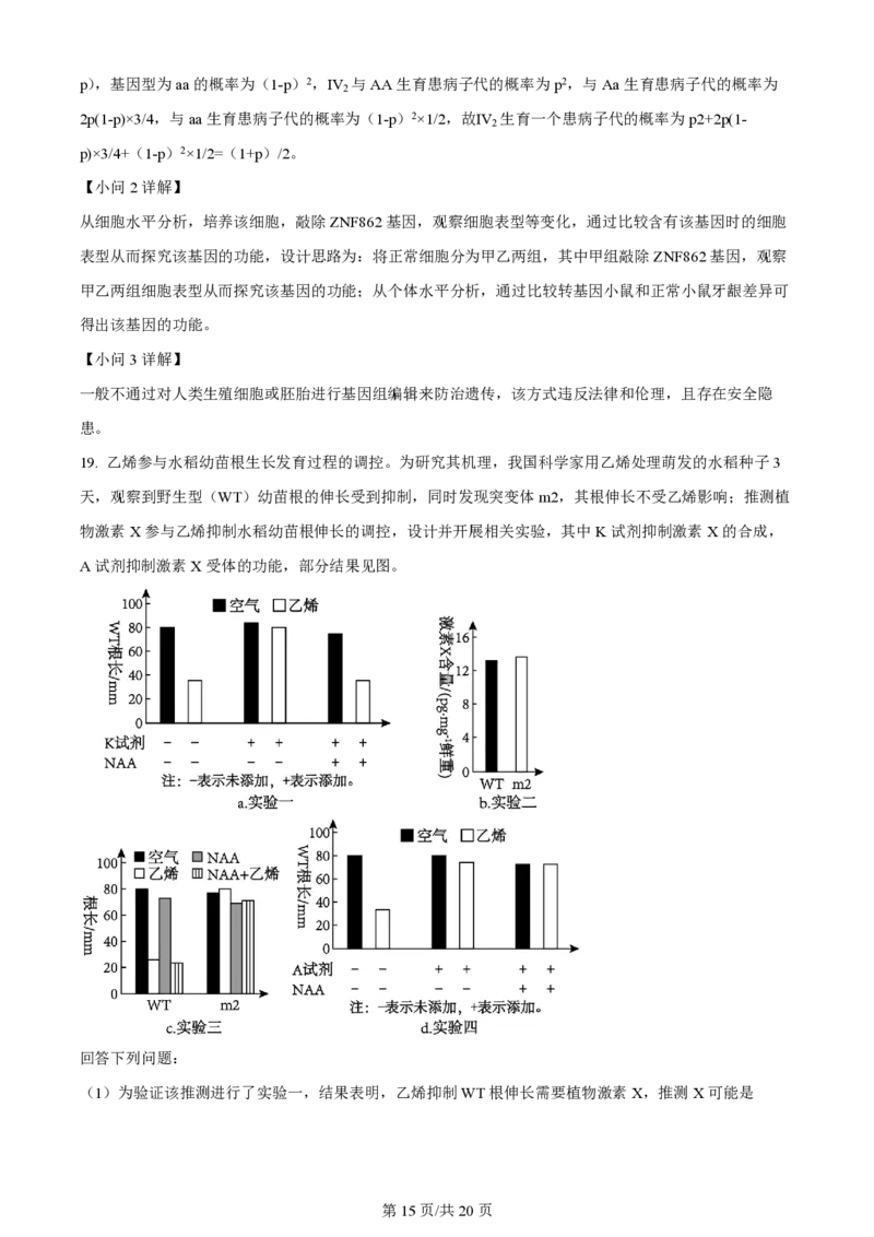 2024年高考生物试卷（广东）（解析卷）_生物历年高考真题_新&middot;PDF版2008-2025&middot;高考生物真题_生物（按年份分类）2008-2025_2024&middot;高考生物真题