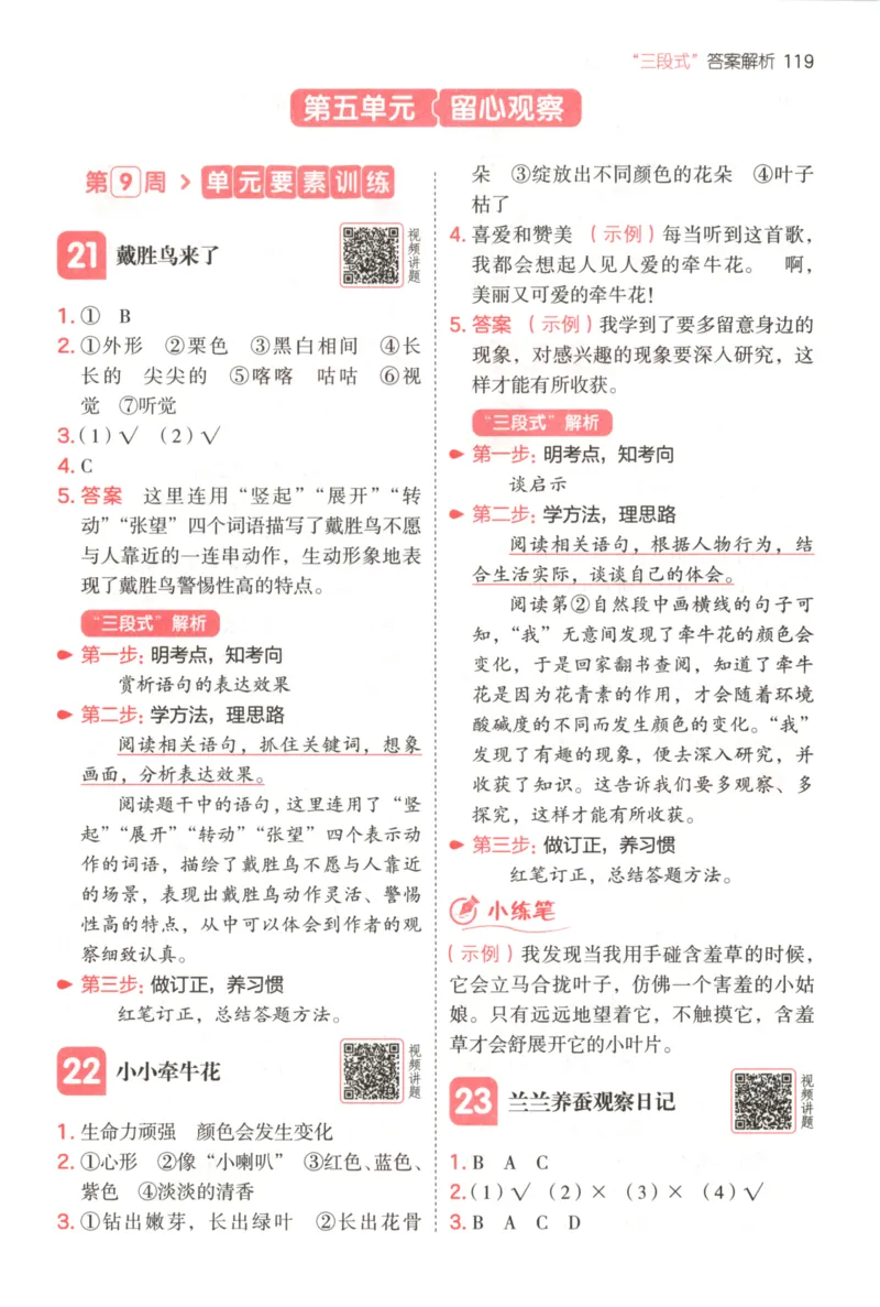 25秋《一本阅读题》3上语文_25秋《一本阅读题》语文