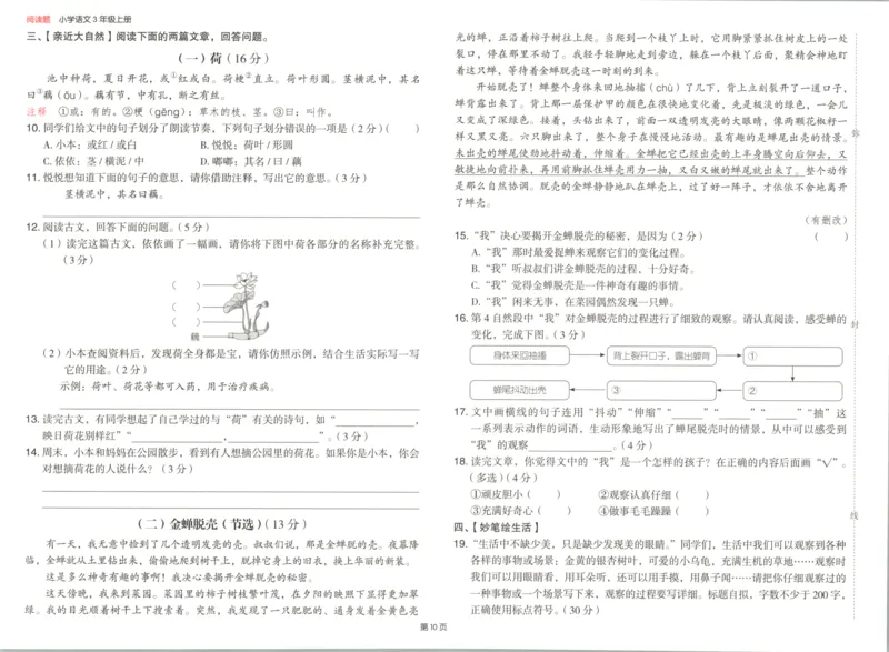 25秋《一本阅读题》3上语文_25秋《一本阅读题》语文