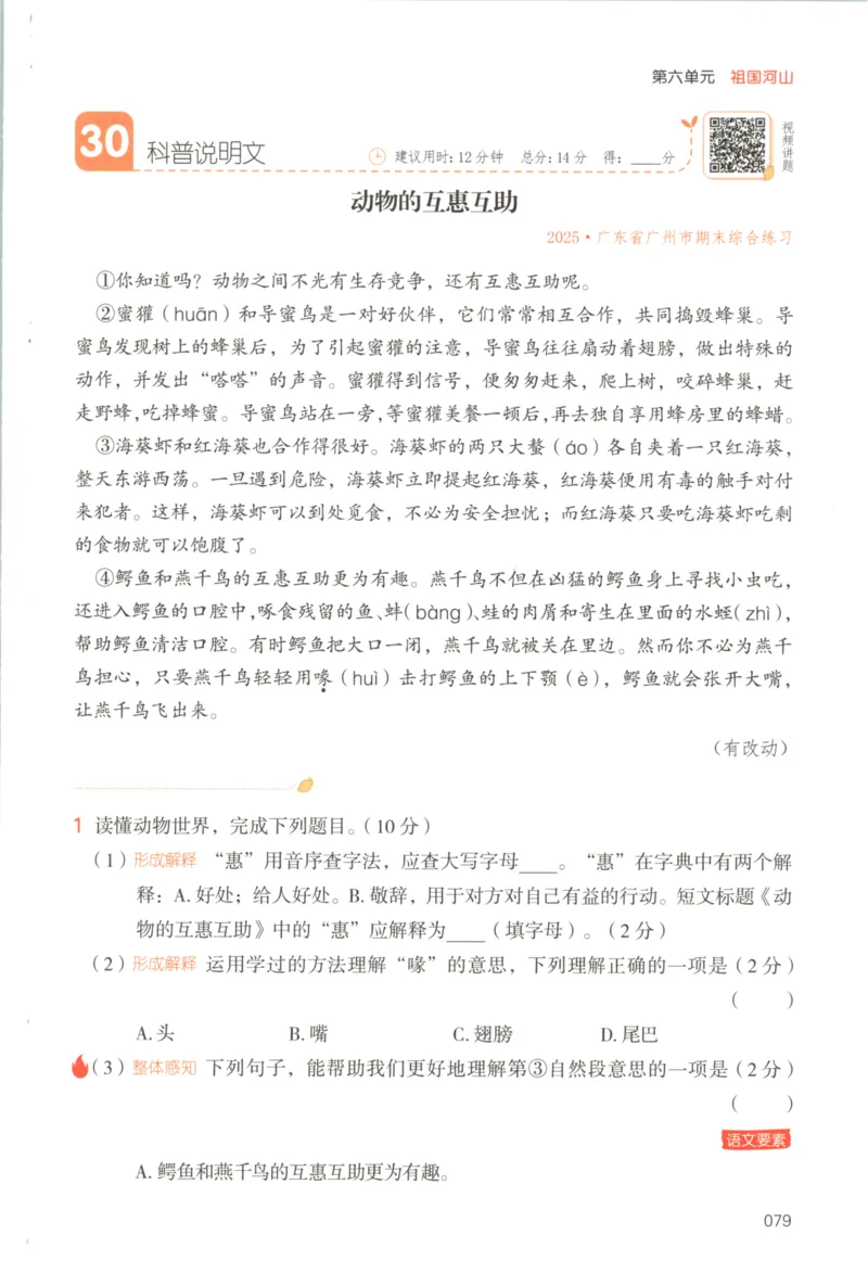 25秋《一本阅读题》3上语文_25秋《一本阅读题》语文