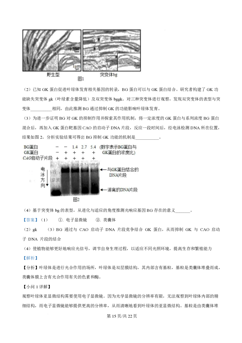 2025年高考生物试卷（北京卷）（解析卷）_生物历年高考真题_新&middot;PDF版2008-2025&middot;高考生物真题_生物（按年份分类）2008-2025_2025&middot;高考生物真题