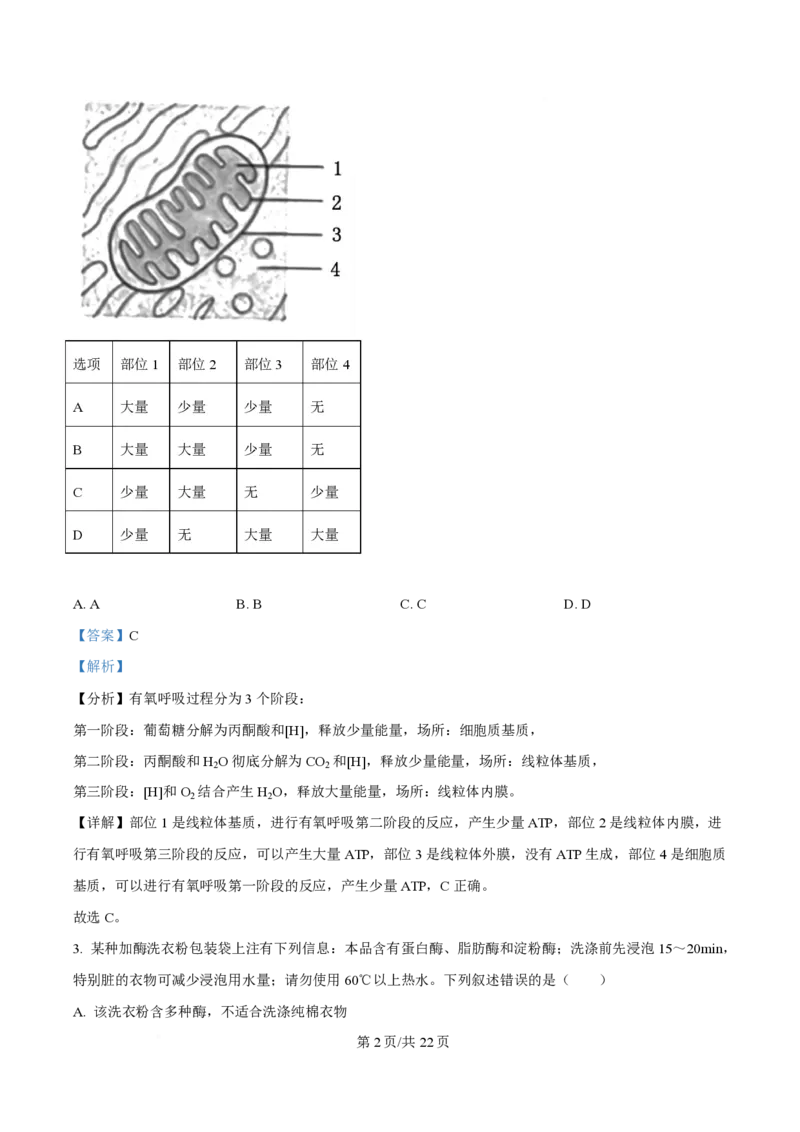 2025年高考生物试卷（北京卷）（解析卷）_生物历年高考真题_新&middot;PDF版2008-2025&middot;高考生物真题_生物（按年份分类）2008-2025_2025&middot;高考生物真题