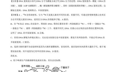 2025年高考生物试卷（北京卷）（解析卷）_生物历年高考真题_新&middot;PDF版2008-2025&middot;高考生物真题_生物（按年份分类）2008-2025_2025&middot;高考生物真题