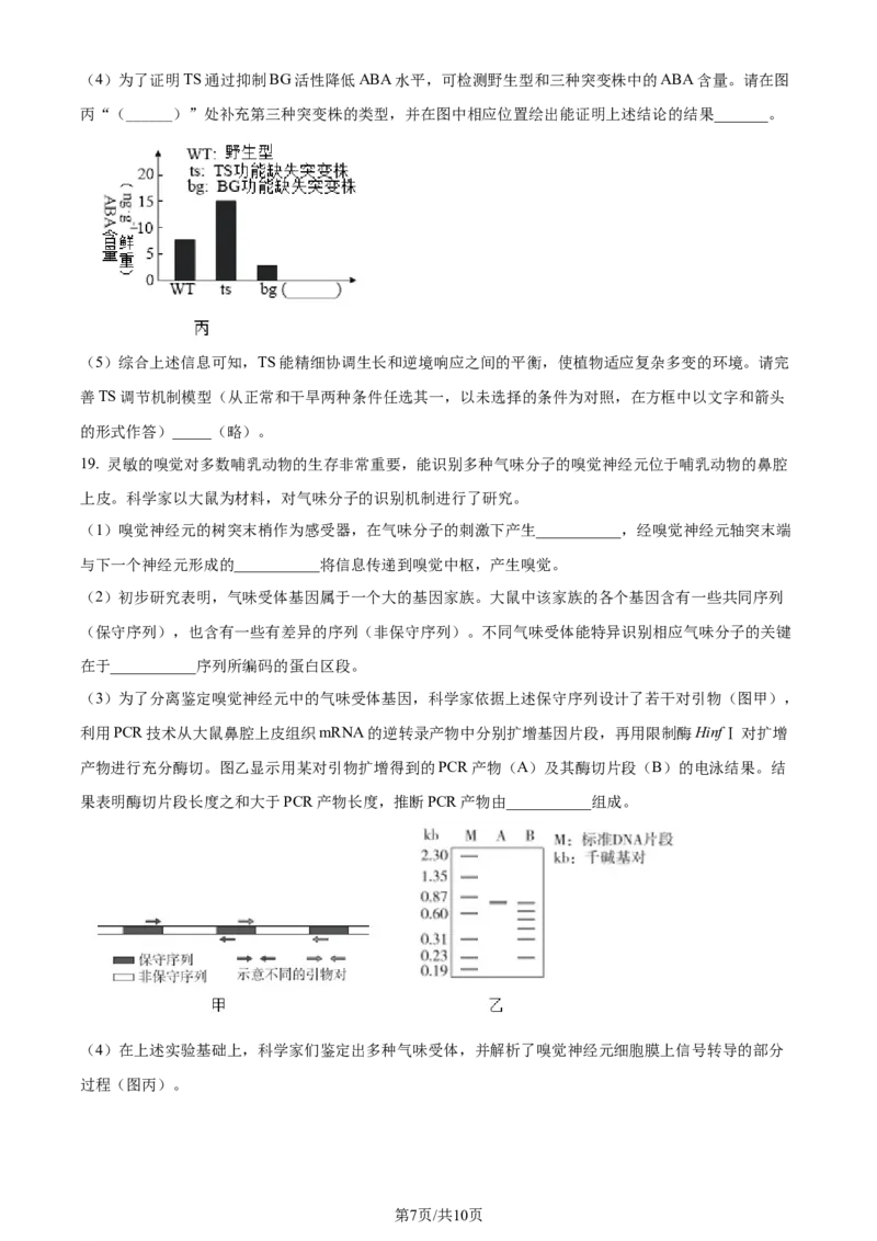 2024年高考生物试卷（北京）（空白卷）_生物历年高考真题_新&middot;Word版2008-2025&middot;高考生物真题_生物（按年份分类）2008-2025_2024&middot;高考生物真题