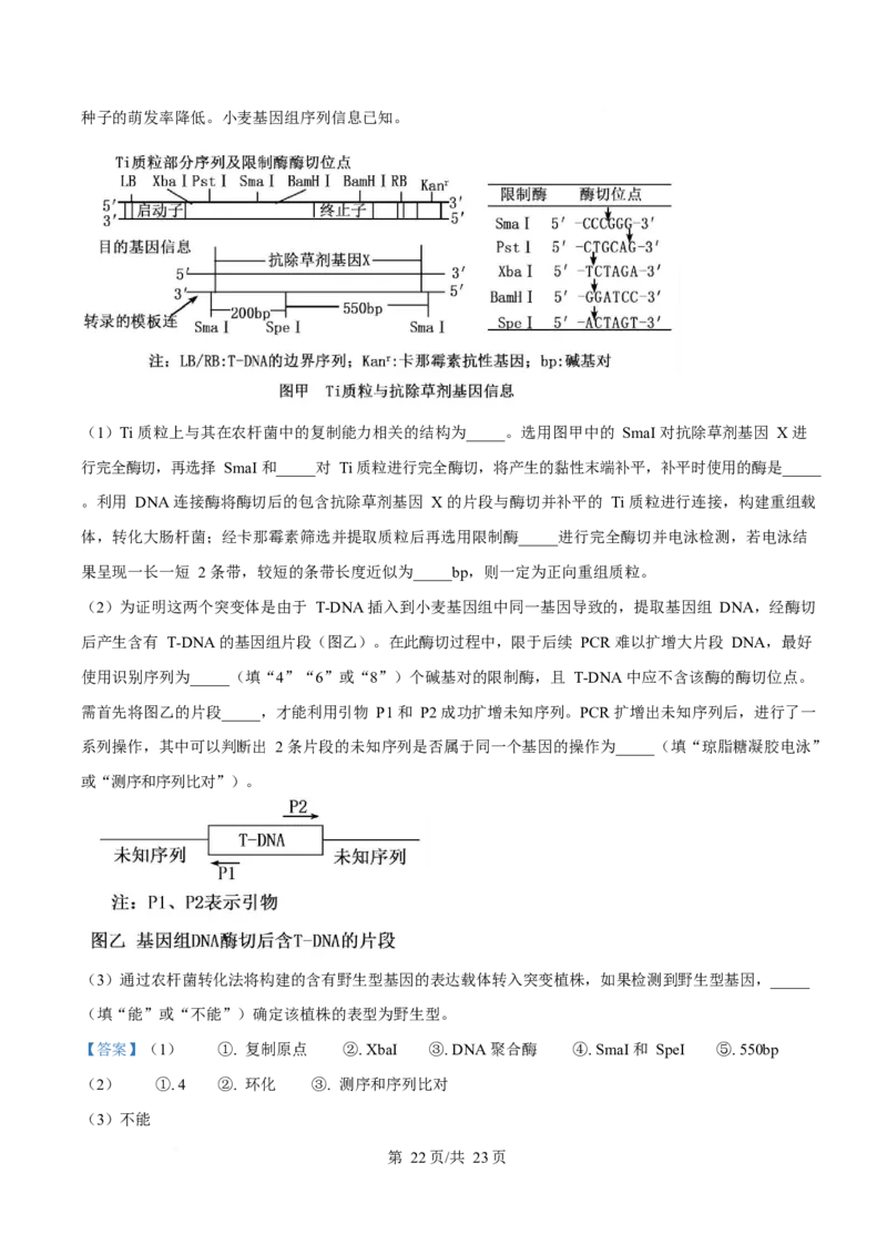 2025年高考生物试卷（山东卷）（解析卷）_生物历年高考真题_新&middot;Word版2008-2025&middot;高考生物真题_生物（按年份分类）2008-2025_2025&middot;高考生物真题