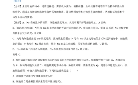 2025年高考生物试卷（山东卷）（解析卷）_生物历年高考真题_新&middot;Word版2008-2025&middot;高考生物真题_生物（按年份分类）2008-2025_2025&middot;高考生物真题