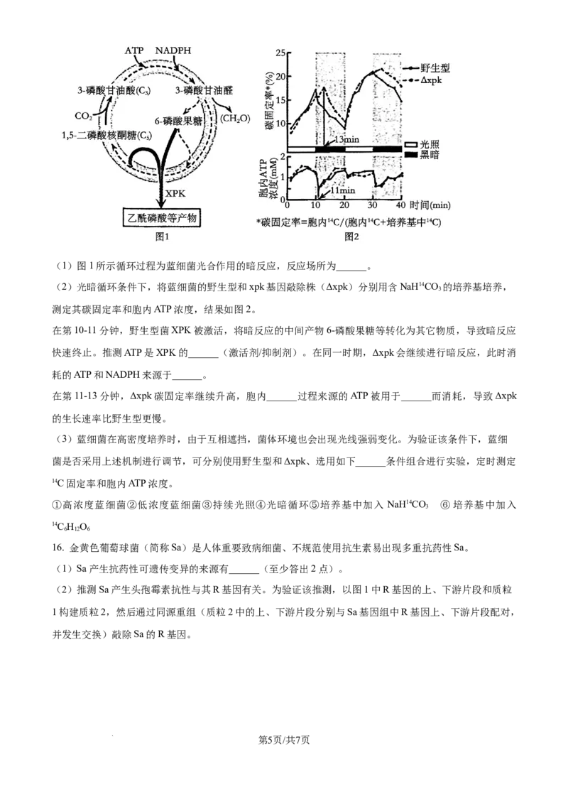 2024年高考生物试卷（天津）（空白卷）_生物历年高考真题_新&middot;Word版2008-2025&middot;高考生物真题_生物（按年份分类）2008-2025_2024&middot;高考生物真题