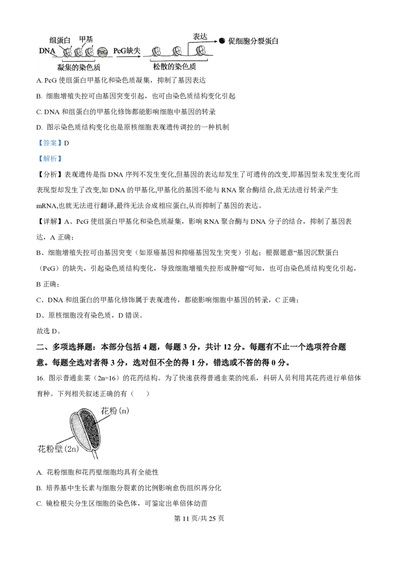 2024年高考生物试卷（江苏）（解析卷）_生物历年高考真题_新&middot;PDF版2008-2025&middot;高考生物真题_生物（按年份分类）2008-2025_2024&middot;高考生物真题