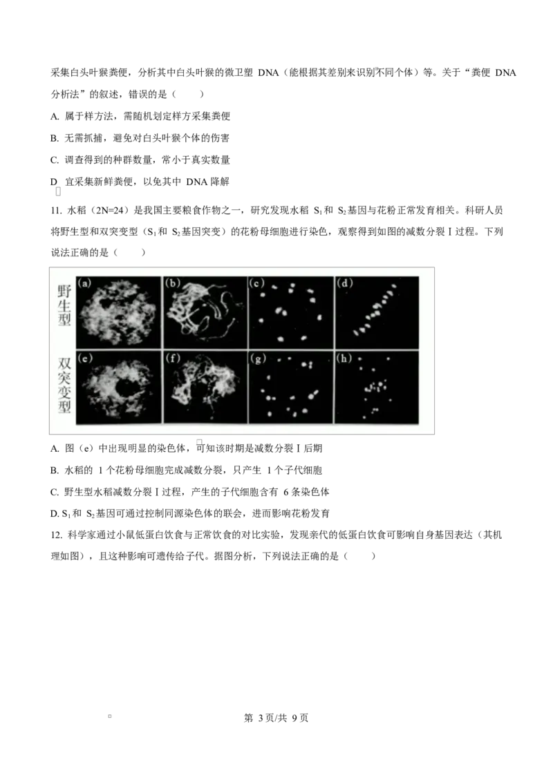 2024年高考生物试卷（广西）（空白卷）_生物历年高考真题_新&middot;Word版2008-2025&middot;高考生物真题_生物（按年份分类）2008-2025_2024&middot;高考生物真题